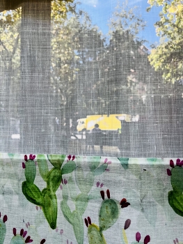 Человек с кактусами / Эй, оглянись прохожий! 
Сидит на тебя похожий. 
Жизнь его как кактусы, 
Но иногда сладка, как его плоды:)