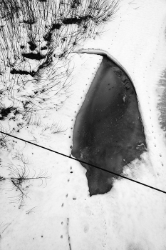 Жизнь вокруг / ***