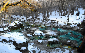 Лесной ручей / Крым