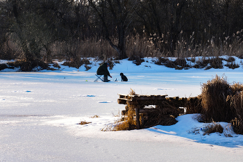 Друзья-товарищи / ***