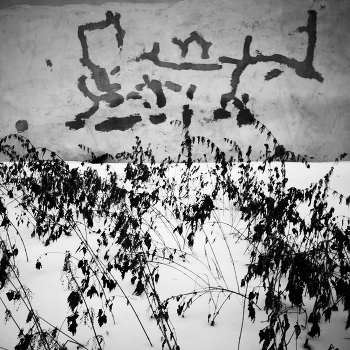 Охота на тигра / ***