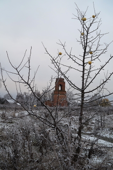 &nbsp; / ноябрь