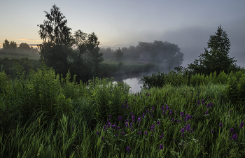 Июль. Большие Байдики / Россия. Тульская область. Ясногорский район. Большие Байдики.