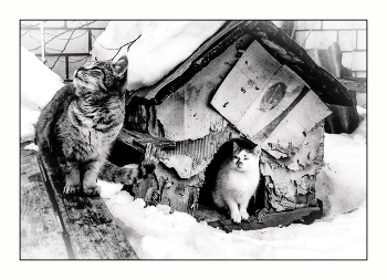 Запах Весны / Конец февраля