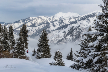 Хранители зимних высот... / Урочище Кок-Жайляу
г. Алматы