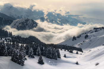 Молочные реки, снежные берега... / Плато Кок-Жайляу
Заилийский Алатау