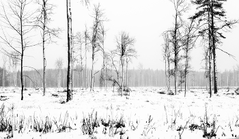 "Безлюдье - здешней тишины основа, нет ни души ..." / ***