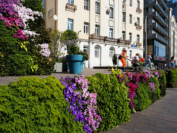 Новый Арбат / Улица Новый Арбат в Москве. Сентябрь 2024.