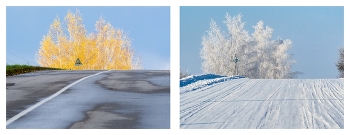 &nbsp; / Про одно место в разные сезоны