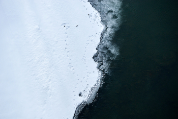 Утиные истории / ***