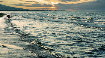 Холодна водица! / Дагестан. Каспий.