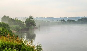 Летнее утро. / Левый берег Оки.