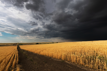 Игры света / ***