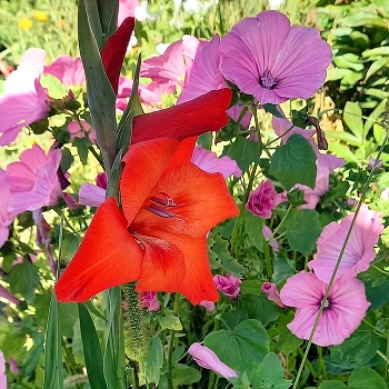 Дорогие женщины! С Праздником 8 Марта! / Пусть у Вас будет всё прекрасно, мира, добра и улыбок, весеннего настроения!