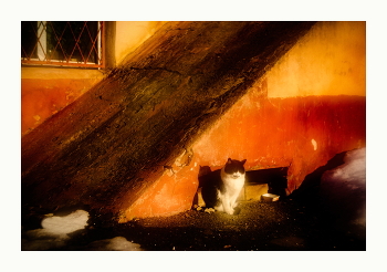 Рыжий полдень / Март