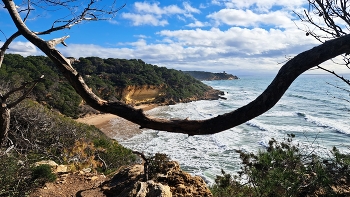 &nbsp; / Tarragona - La Mora (Bosc de la Maquesa) - Tarragonès