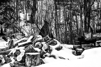 Пейзажизнь / ***