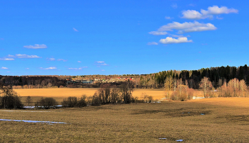 Весна - с полей почти весь снег исчез ... / ***