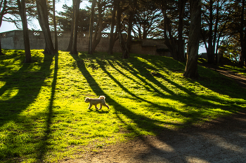 Солнечный денёк / ......