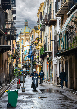 После дождя / ***