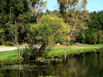 Шибаевский пруд / Шибаевский пруд в Кузьминском парке в Москве. Сентябрь 2024.
