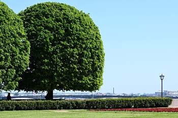 Стрелка Васильевского острова / Питерские виды