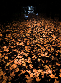 Царскосельские парки 18 / ...