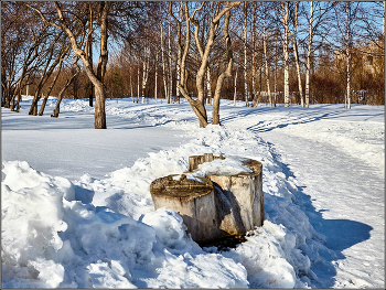 И даже пень в весенний день... / Март в окрестностях Архангельска.