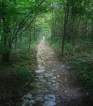 По камушкам / Дорога к источнику, село Бехово 2011 год.