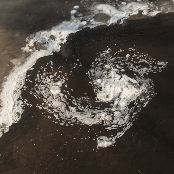 Жизнь вокруг / ***