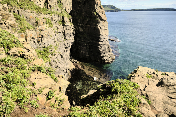 На острове Русский / Август 2025