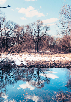 Пришла весна / ***