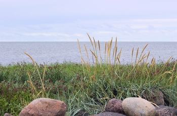 тепло родного края / Эстония, острова