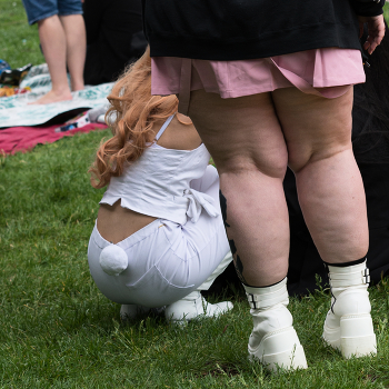 «Кролики – это не только ценный мех / ***