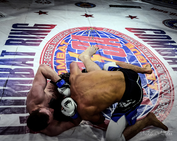 "Combat ring " / международная всестилевая бойцовская Лига "ICLAS-MMA", "Combat ring "