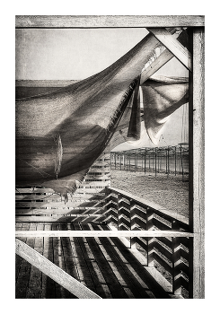 название / ***