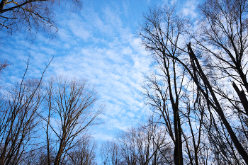 Весеннее небо / ***