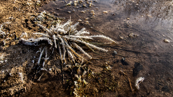 Пейзажизнь / ***