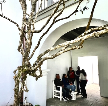 Family tree / Tightly knit family