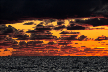 Эндоплазматический ретикулум (микрофотография) / или просто турфото