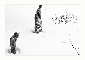 АНАБИОЗ / ***