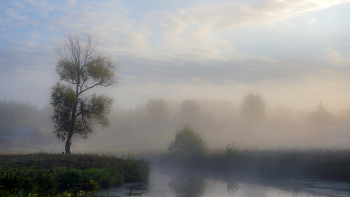 Август / Летние туманы