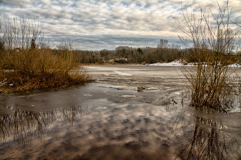 Жизнь вокруг / ***