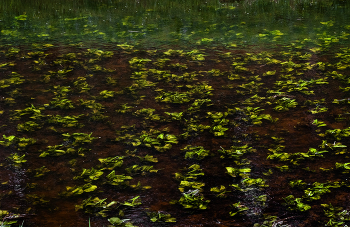 Объяли меня воды до души моей..._4 / ...