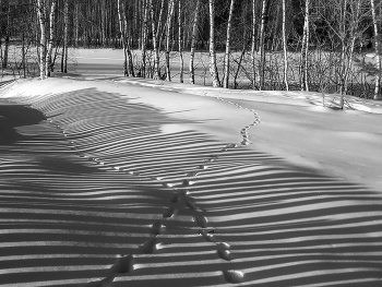 Горизонтали, вертикали... / Утренние зарисовки