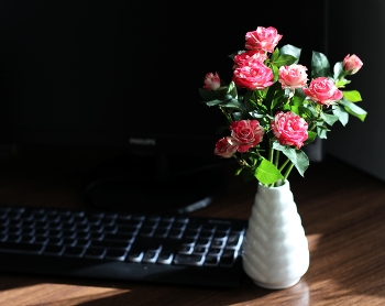 интернетной знакомой / розы