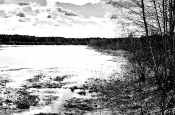 Весной на озере / Весной на озере