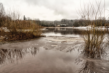Жизнь вокруг / ***