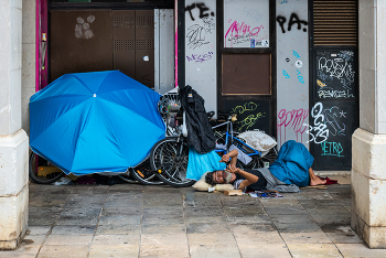 ...читатель / ***