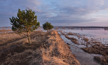 Апрельский вечер / Пригород , половодье у озера Долгое 2024 год.